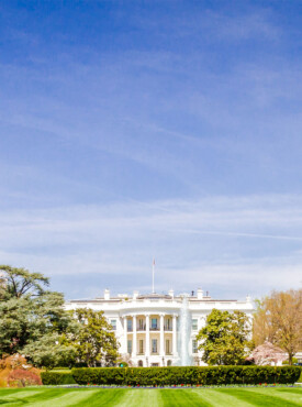The White House viewed from the south lawn on a bright spring day with blooming trees