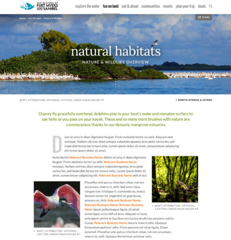 The Beaches of Fort Myers & Sanibel Island website – natural habitats